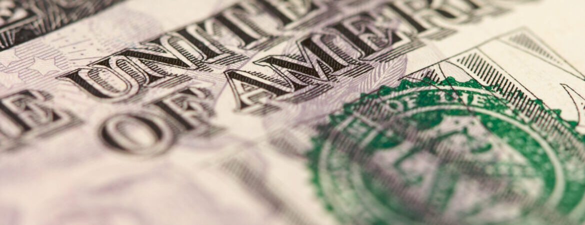 Abstract Macro of U.S. Five Dollar Bill with Narrow Depth of Field.